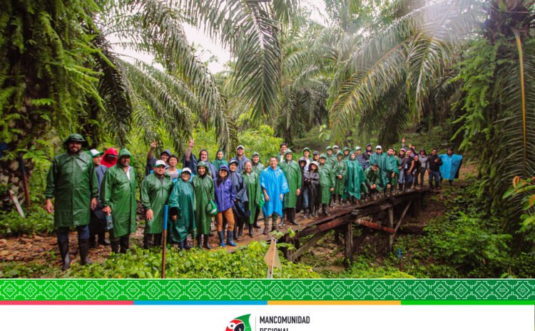 LA FINCA DE DOÑA ROSARIO