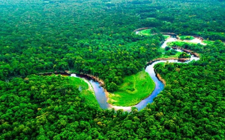 PCM ACELERARÁ EL DISEÑO DEL PLAN MULTISECTORIAL DE PROMOCIÓN DE LA AMAZONÍA SOSTENIBLE EN CONJUNTO CON CEPLAN Y LA MANCOMUNIDAD REGIONAL AMAZÓNICA