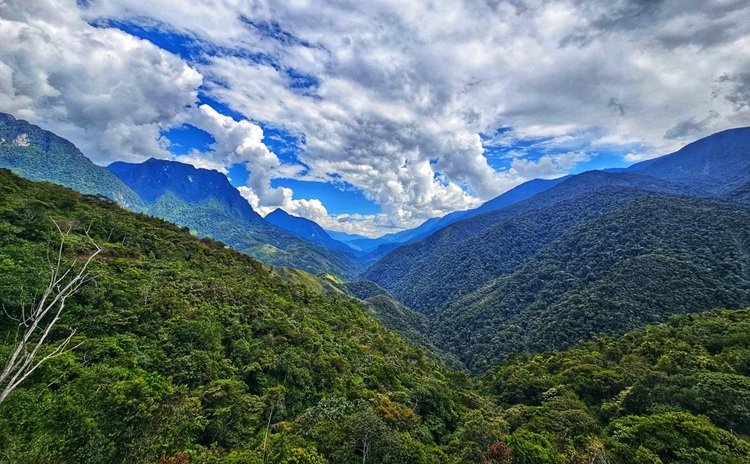 Mancomunidad Regional Amazónica respalda la creación de la nueva ACR Yanajanca en Huánuco